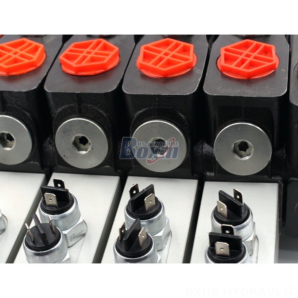 OEM/ODM Manufacturing for DLS180 Micro Switch Directional Valve detail image